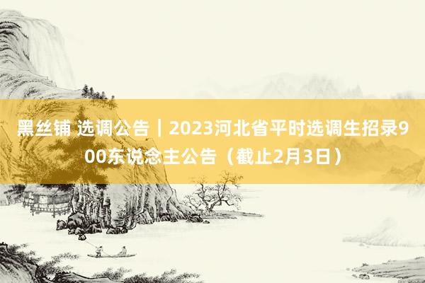 黑丝铺 选调公告｜2023河北省平时选调生招录900东说念主公告（截止2月3日）